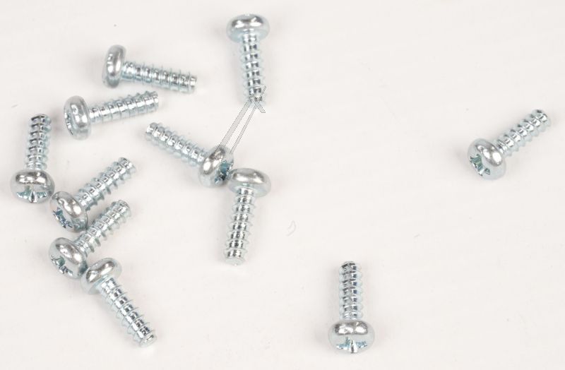 Ninebot ZT3 - Pro Kreuzschlitzschrauben selbstschneidend ST2.9x9.5
