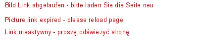 INNENSECHSKANTSCHRAUBEN DREIFACHKOMBINATION M5X20 NINEBOT MINI